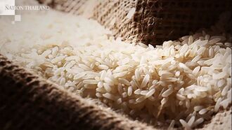 Wada Asia exports Vietnam rice